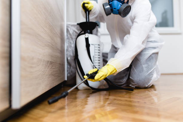 Best Best Pest Control Companies  in Holladay, UT