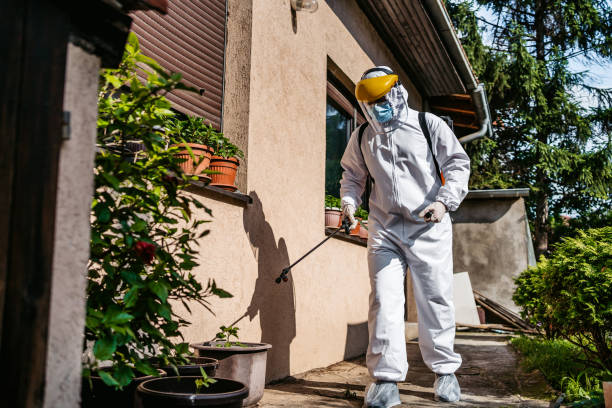 Best Insect Control  in Holladay, UT