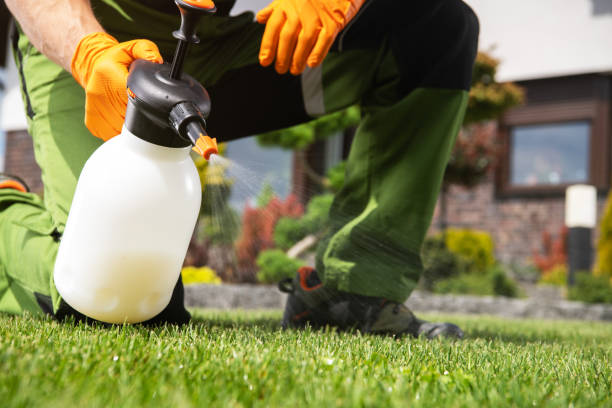Best Wildlife Control Services  in Holladay, UT