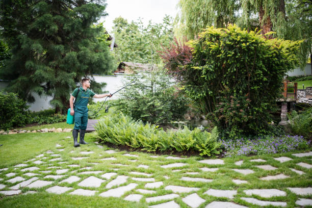 Best Wasp Removal Services  in Holladay, UT