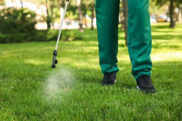 Trusted Holladay, UT Pest Control Experts