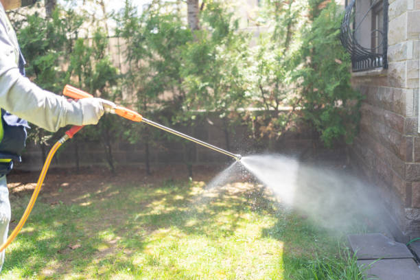 Best Pest Removal Services  in Holladay, UT