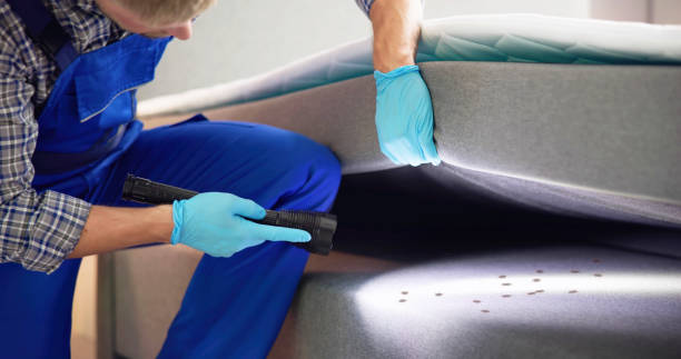 Best Mosquito Control Services  in Holladay, UT