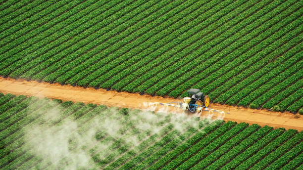 Best Mosquito Control Services  in Holladay, UT