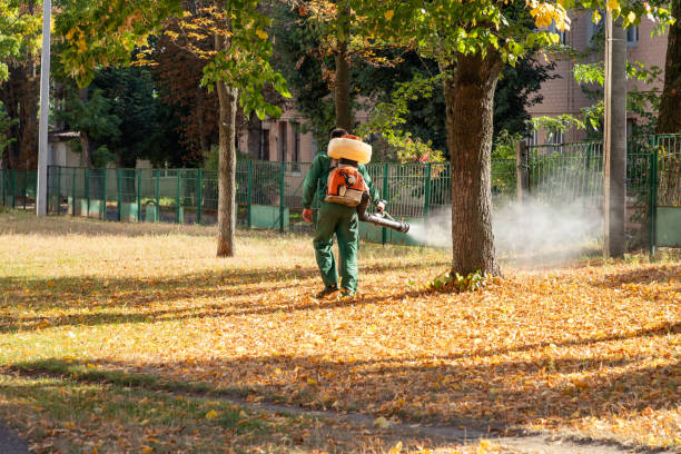 Best Local Pest Control Services  in Holladay, UT