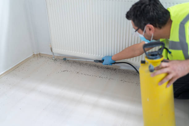 Best Exterminator Services  in Holladay, UT